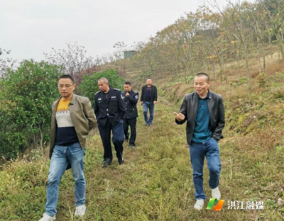 市林业局:把牢林草种苗安全,助力营商环境优化提升