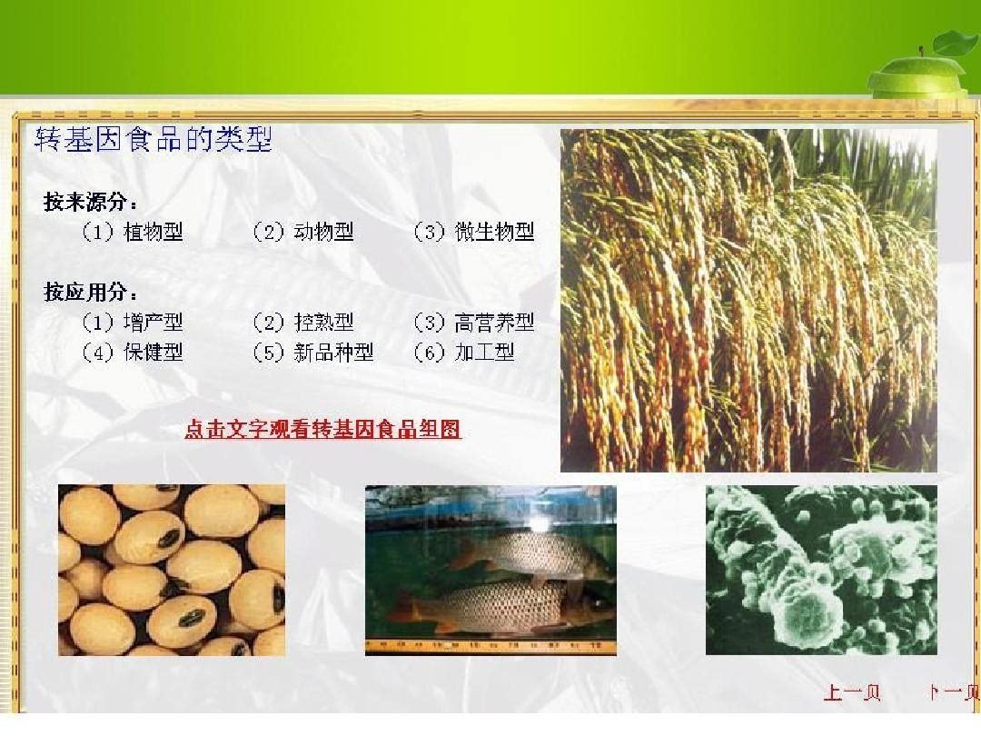 农业部今天发布转基因作物监管办法,严防转基因种子冒充非转基因生产经营