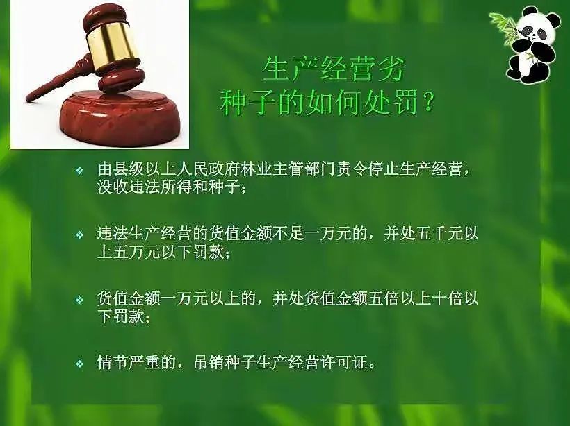 《大家说法》(161)关注《种子法》