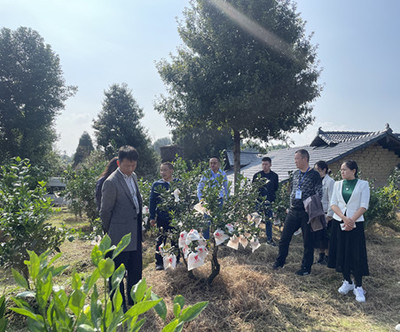 市级联合检查组到名山区开展“双随机、一公开”监督检查