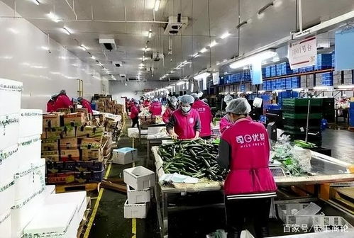 烧光百亿 每日优鲜,被谁拔了氧气管
