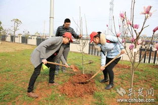 每人 领养 一棵树 高校植树节 种 出新花样