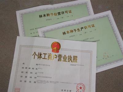 嵊州市诚农苗木场 - 主营红枫、樱花、.桂花、海棠、.红白玉兰.广玉兰、紫薇.重阳木、香樟.红梅、