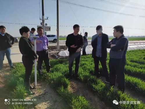 山东 河南 河北 秋乐人齐上阵,迎战市场