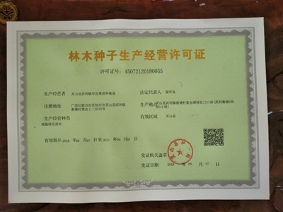 [红心芭乐番石榴苗批发]红心芭乐番石榴苗 价格25元/棵