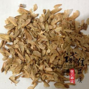 供应正宗美国红枫种子 美国红枫秋火焰 林木种子 一级新采 质量保证_世界工厂网