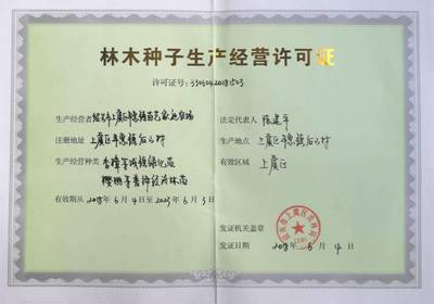 嵊州金庭桃形李苗培育基地桃形李树苗价格