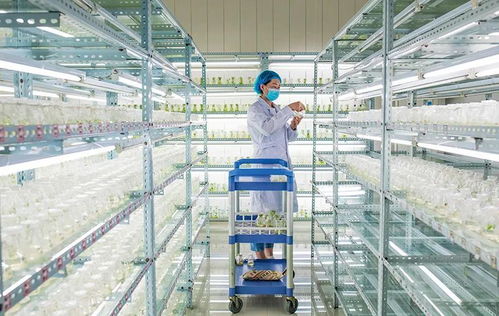 辉瑞新冠药获批推动国产药加速上市 哪些个股值得入手