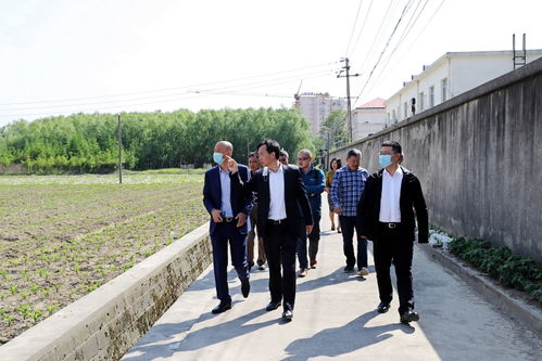 公司新闻 江苏中江种业股份