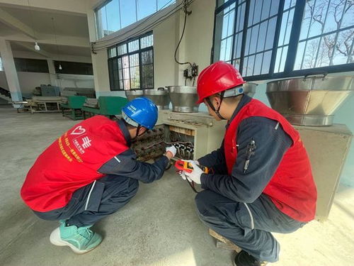 普定供电局开展“守护春茶用电”学雷锋志愿者活动，助力农作物栽培服务