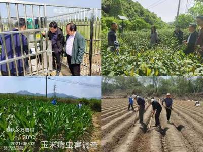 县农技推广中心“我为群众办实事”实践活动有声有色