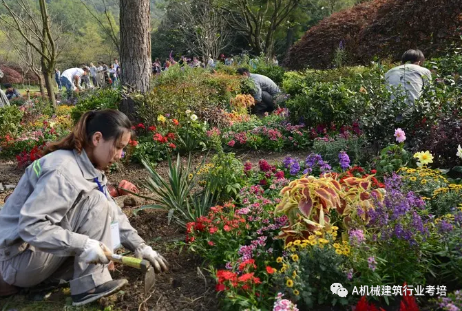 园艺师证书大用处,拿林木种子生产经营许可证必不可少