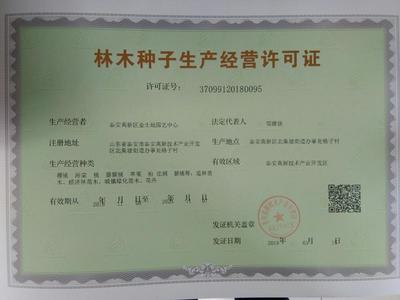 [桃核批发]山东泰安岱岳区桃核 4.40元/斤桃核 桃树种子货真 _ 一亩田