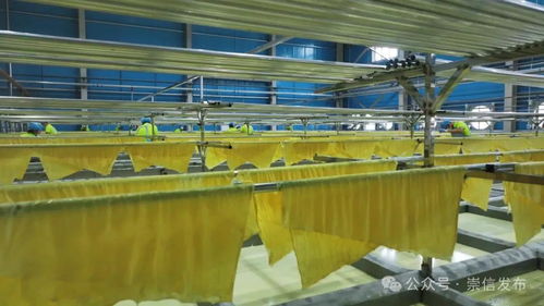 豆 你玩 真的 西北最大豆制品生产线试投产凤凰网甘肃 凤凰网