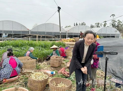 土里烧锅炉 内江这大姐出了名